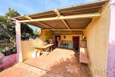 Farm i Silves, Faro, Silves - € 650.000 | Ref: NU_5919 - foto 7