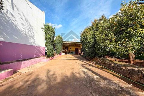 Farm i Silves, Faro, Silves - € 650.000 | Ref: NU_5919 - foto 8