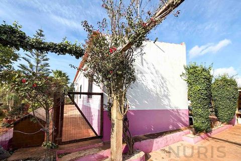 Farm i Silves, Faro, Silves - € 650.000 | Ref: NU_5919 - foto 9