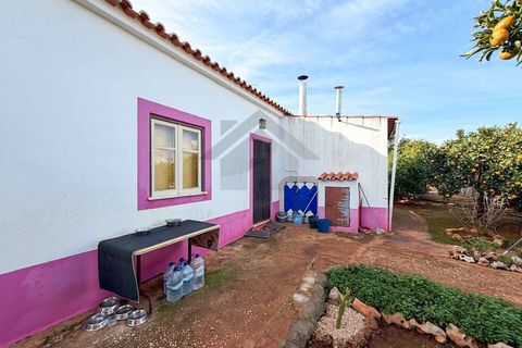 Farm i Silves, Faro, Silves - € 650.000 | Ref: NU_5919 - foto 11