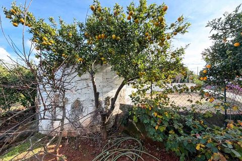 Farm i Silves, Faro, Silves - € 650.000 | Ref: NU_5919 - foto 18