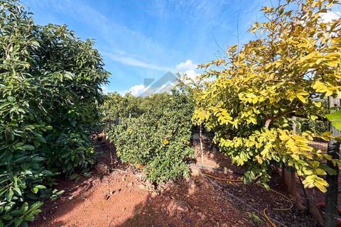 Farm i Silves, Faro, Silves - € 650.000 | Ref: NU_5919 - foto 21