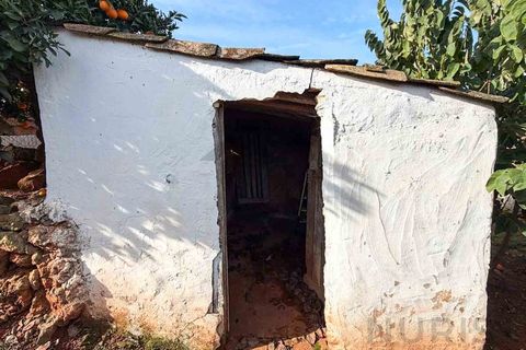 Farm i Silves, Faro, Silves - € 650.000 | Ref: NU_5919 - foto 22