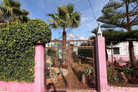 Farm i Silves, Faro, Silves - € 650.000 | Ref: NU_5919 - foto 31