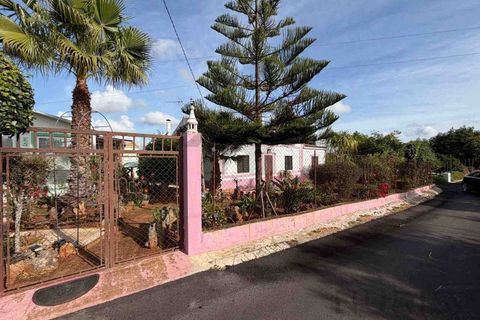 Farm i Silves, Faro, Silves - € 650.000 | Ref: NU_5919 - foto 32