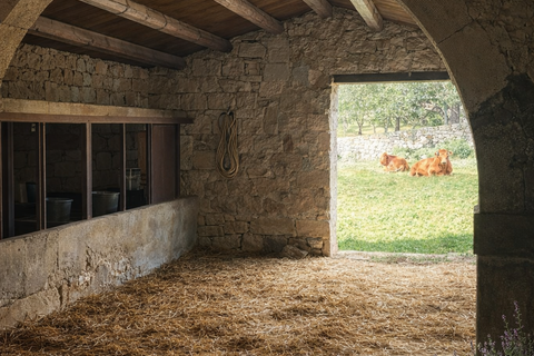 Lejlighed i Modica, Ragusa, Modica - € 525.000 | Ref: IA3246 - foto 10