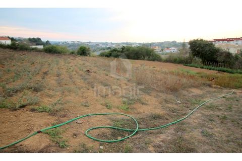 Helårsgrund i Mafra, Lisbon, Mafra - € 650.000 | Ref: L23632 - foto 4