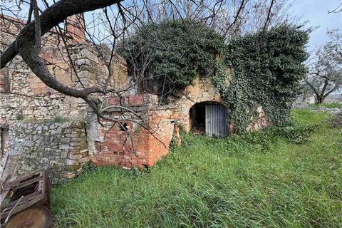 Landejendom i Collazzone, Perugia, Collazzone - € 65.000 | Ref: VCR112 - foto 8