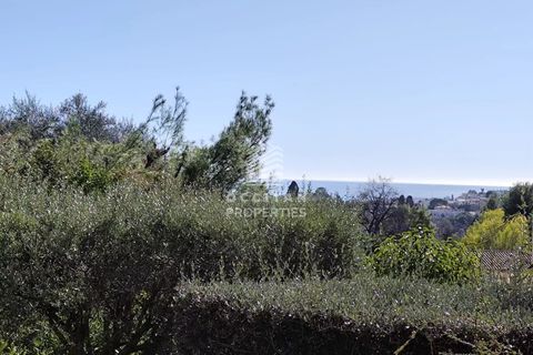 Lejlighed i Le Cannet, Alpes-Maritimes, Le Cannet - € 325.000 | Ref: 86701645 - foto 12