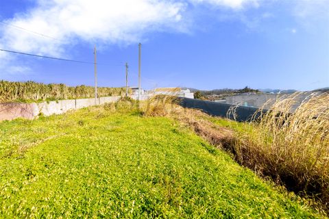 Helårsgrund i Ponta do Sol, Madeira, Ponta do Sol - € 120.000 | Ref: Q2618 - foto 11