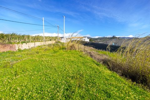 Helårsgrund i Ponta do Sol, Madeira, Ponta do Sol - € 120.000 | Ref: Q2618 - foto 10