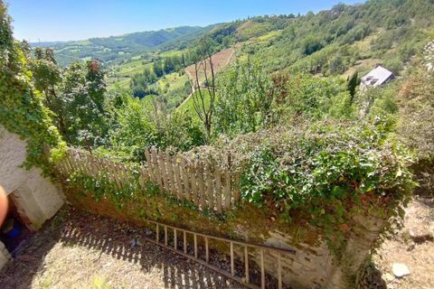 Villa in Goutrens, Aveyron, Goutrens - € 84.000 | Ref: BAA42478087343F1 - foto 17