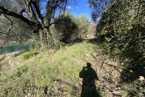 Helårsgrund i Drap, Alpes-Maritimes, Drap - € 269.000 | Ref: 1231 - foto 4