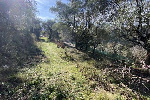 Helårsgrund i Drap, Alpes-Maritimes, Drap - € 269.000 | Ref: 1231 - foto 6