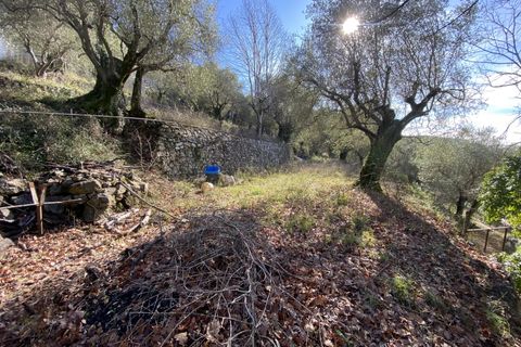 Helårsgrund i Drap, Alpes-Maritimes, Drap - € 269.000 | Ref: 1231 - foto 7