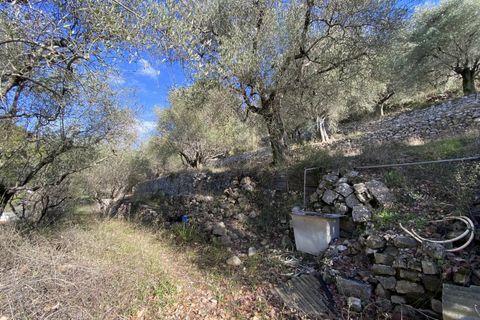 Helårsgrund i Drap, Alpes-Maritimes, Drap - € 269.000 | Ref: 1231 - foto 8