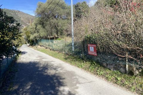 Helårsgrund i Drap, Alpes-Maritimes, Drap - € 269.000 | Ref: 1231 - foto 12