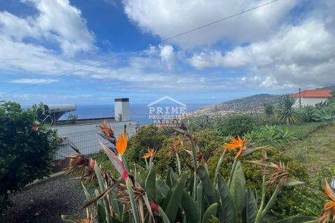 Villa i Calheta, Madeira, Calheta - € 445.000 | Ref: #1338 - foto 2