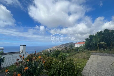 Villa i Calheta, Madeira, Calheta - € 445.000 | Ref: #1338 - foto 32