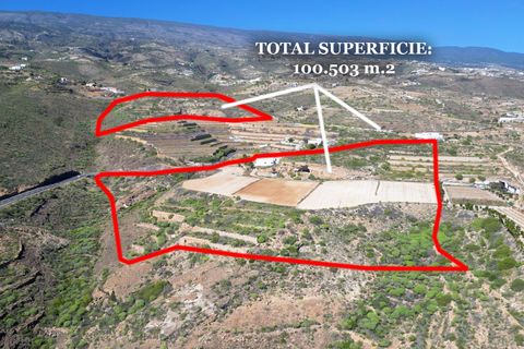 Landejendom i Arico, Tenerife, Arico - € 570.000 | Ref: 0067-04602/2961 - foto 47