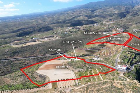 Landejendom i Arico, Tenerife, Arico - € 570.000 | Ref: 0067-04602/2961 - foto 48