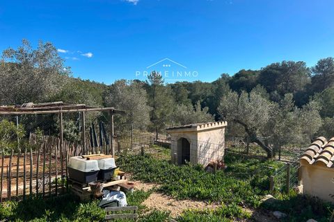 Villa i El Perello, Tarragona, El Perello - € 495.000 | Ref: 1163 - foto 32