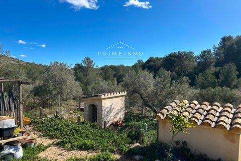 Villa i El Perello, Tarragona, El Perello - € 495.000 | Ref: 1163 - foto 33