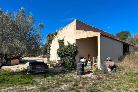 Villa i El Perello, Tarragona, El Perello - € 495.000 | Ref: 1163 - foto 37