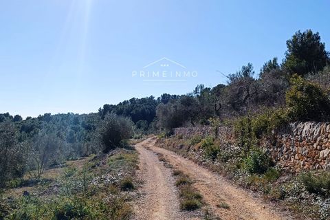 Villa i El Perello, Tarragona, El Perello - € 289.000 | Ref: 1015 - foto 25
