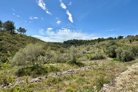Villa i El Perello, Tarragona, El Perello - € 289.000 | Ref: 1015 - foto 22