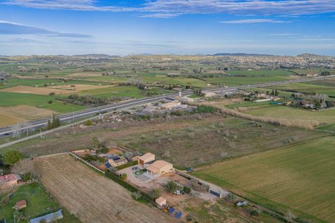 Helårsgrund i Algaida, Mallorca, Algaida - € 370.000 | Ref: 08SN041/10961 - foto 10