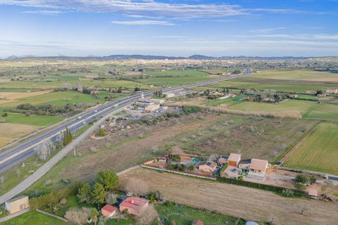 Helårsgrund i Algaida, Mallorca, Algaida - € 370.000 | Ref: 08SN041/10961 - foto 11