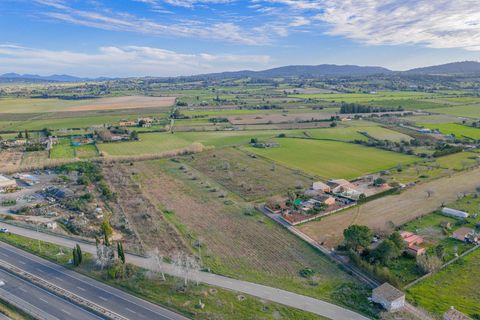 Helårsgrund i Algaida, Mallorca, Algaida - € 370.000 | Ref: 08SN041/10961 - foto 12