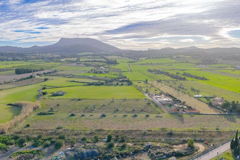 Helårsgrund i Algaida, Mallorca, Algaida - € 370.000 | Ref: 08SN041/10961 - foto 13