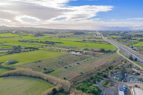 Helårsgrund i Algaida, Mallorca, Algaida - € 370.000 | Ref: 08SN041/10961 - foto 14