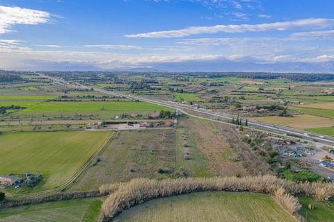 Helårsgrund i Algaida, Mallorca, Algaida - € 370.000 | Ref: 08SN041/10961 - foto 15