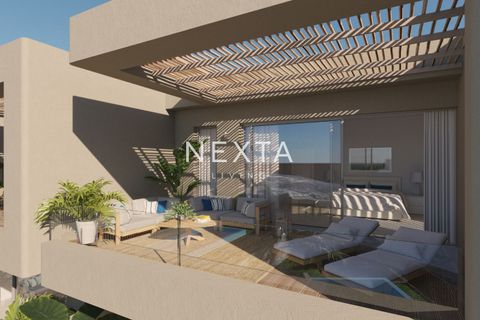 Rækkehus i Adeje, Tenerife, Adeje - € 1.830.000 | Ref: 1058 - foto 15