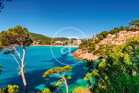 Leilighet i Son Servera, Mallorca, Son Servera - € 475 000 | Ref: B - 0 - 7 - foto 17