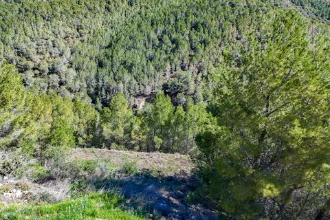 Helårsgrund i Altea, Alicante, Altea - € 149.000 | Ref: HI10MARYZ - foto 46