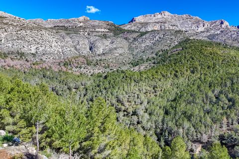 Helårsgrund i Altea, Alicante, Altea - € 149.000 | Ref: HI10MARYZ - foto 48