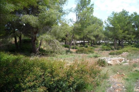 Terra a Javea, Alicante, Javea - € 215.000 | Ref: HI18LON6R - foto 3
