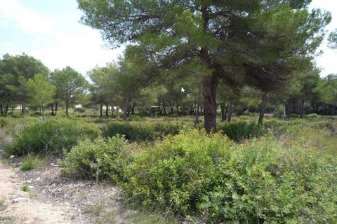 Terra a Javea, Alicante, Javea - € 215.000 | Ref: HI18LON6R - foto 4