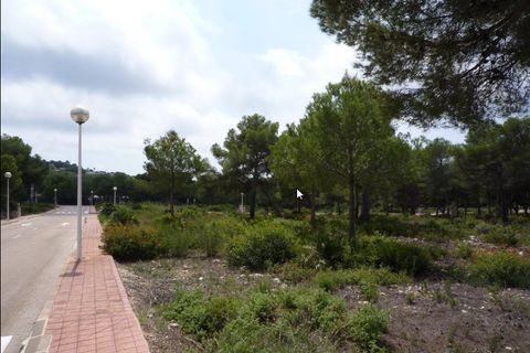 Terra a Javea, Alicante, Javea - € 215.000 | Ref: HI18LON6R - foto 8
