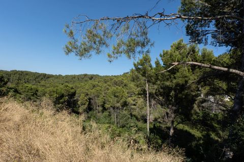 Terra a Javea, Alicante, Javea - € 150.000 | Ref: HI19IZRCR - foto 5