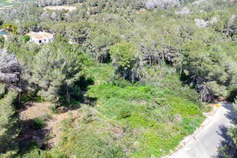 Terra a Javea, Alicante, Javea - € 150.000 | Ref: HI19IZRCR - foto 9