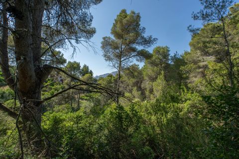 Terra a Javea, Alicante, Javea - € 150.000 | Ref: HI19IZRCR - foto 13