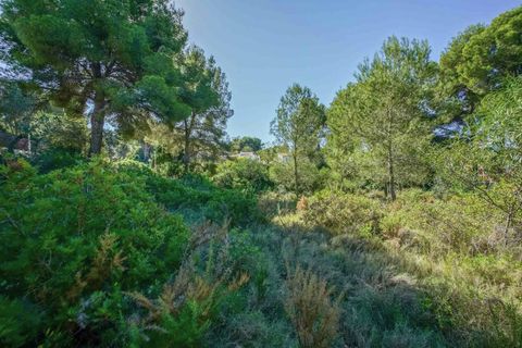 Helårsgrund i Javea, Alicante, Javea - € 499.000 | Ref: HI1CXA9A4 - foto 7