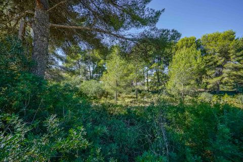 Helårsgrund i Javea, Alicante, Javea - € 499.000 | Ref: HI1CXA9A4 - foto 11