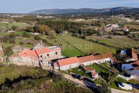 Villa i Alcobaca, Leiria, Alcobaca - € 750.000 | Ref: 222260064 - foto 17