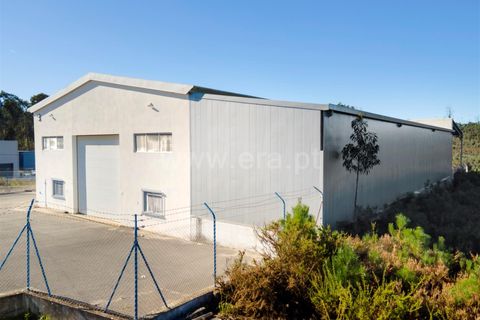 Erhvervsejendom i Ourem, Santarem, Ourem - € 495.000 | Ref: 222250167 - foto 2